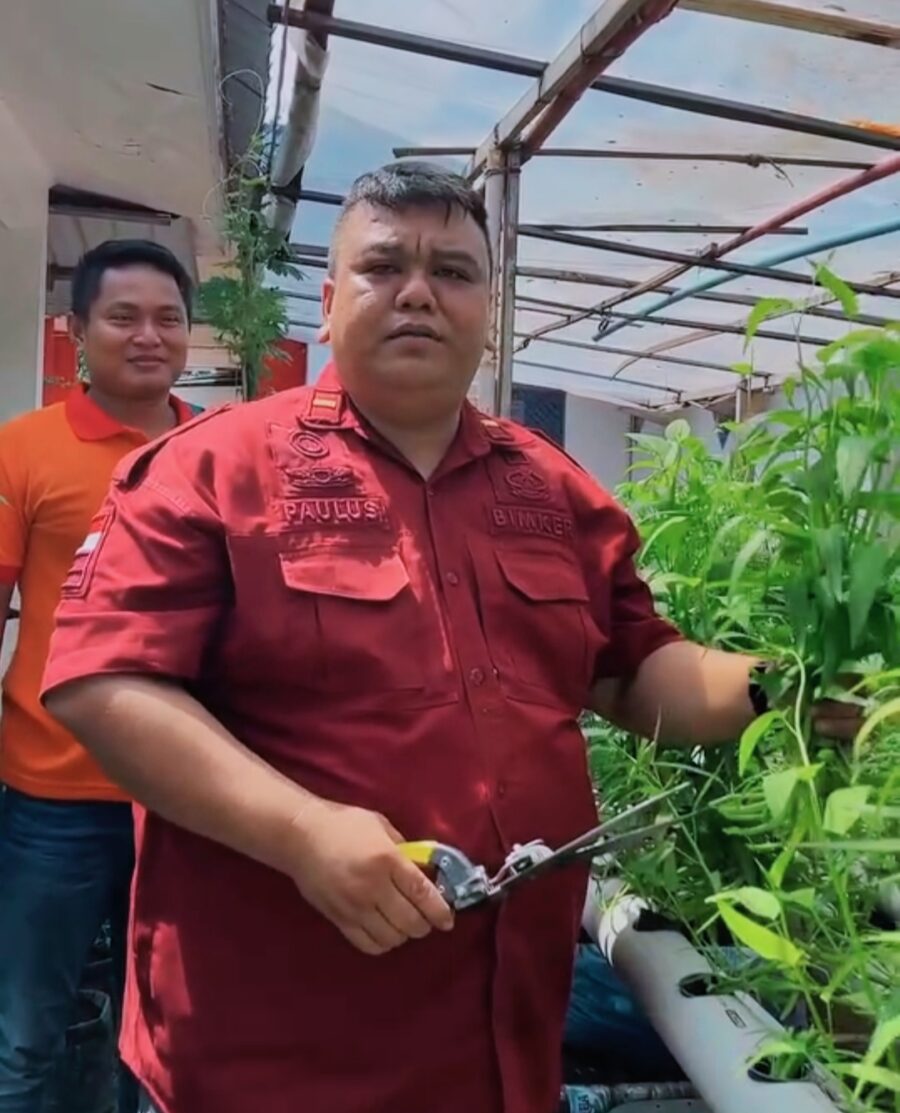 Panen Sayuran Kebal Masuk Angin Ada di Rutan Medan.