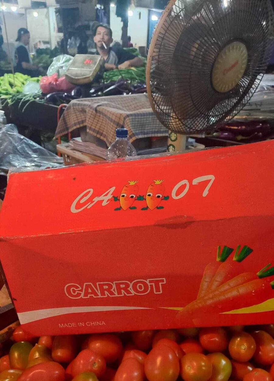 Harga Wortel Lokal Hancur, Pemerintah Buka Kran Import Dari Cina dan Vietnam
