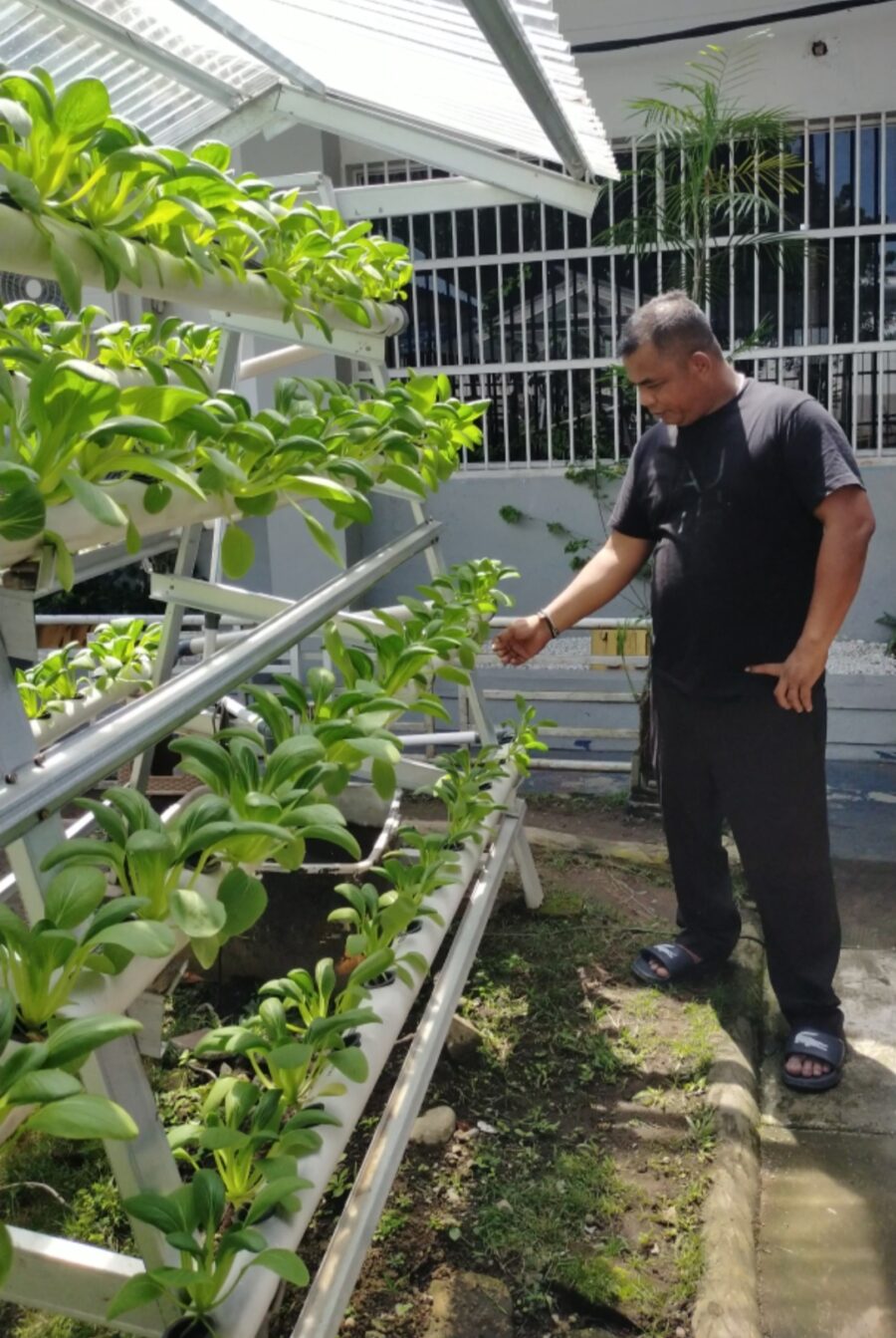 Tingkatkan Ketahanan Pangan, Rutan Kelas I Medan Berdayakan Lahan Sekitar