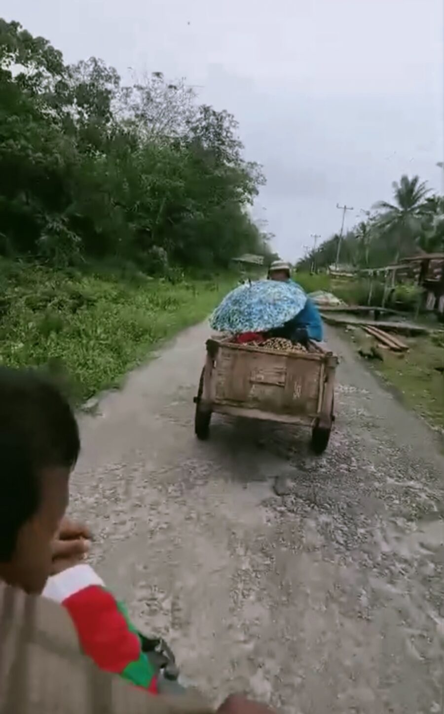 Mobil Puskesmas Rusak, Jenazah Dibawa Dengan Gerobak Kayu