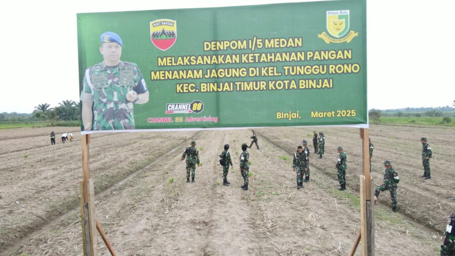 Program Ketahanan Pangan, Denpom 1/5 Gelar Penanaman Bibit Jagung di Binjai Timur