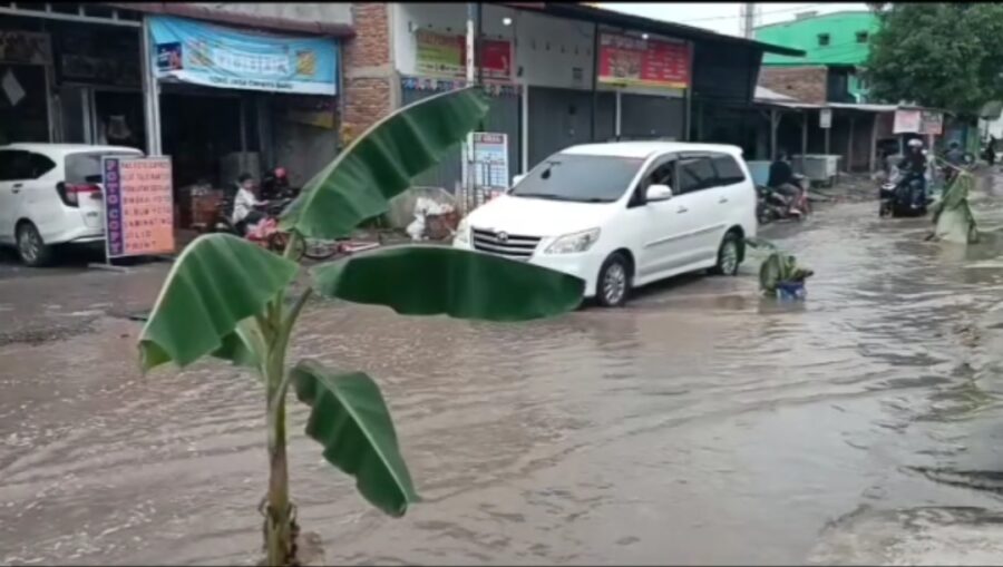 Warga Kompak Tanam Pohon Pisang di Tengah Jalan Desa Sunggal Kanan
