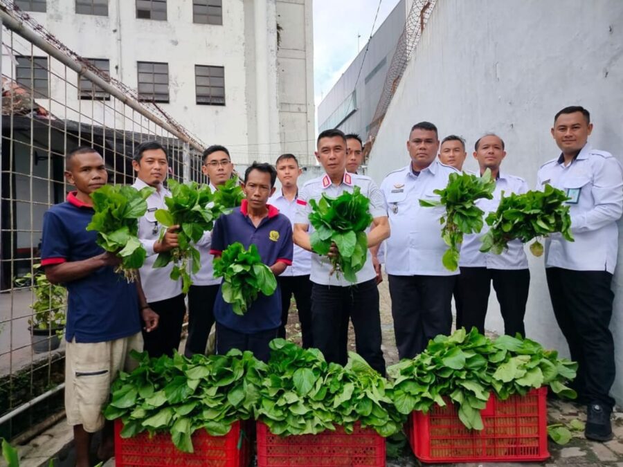 Wujudkan Program Akselerasi Menteri, Lapas Jember Panen Sawi