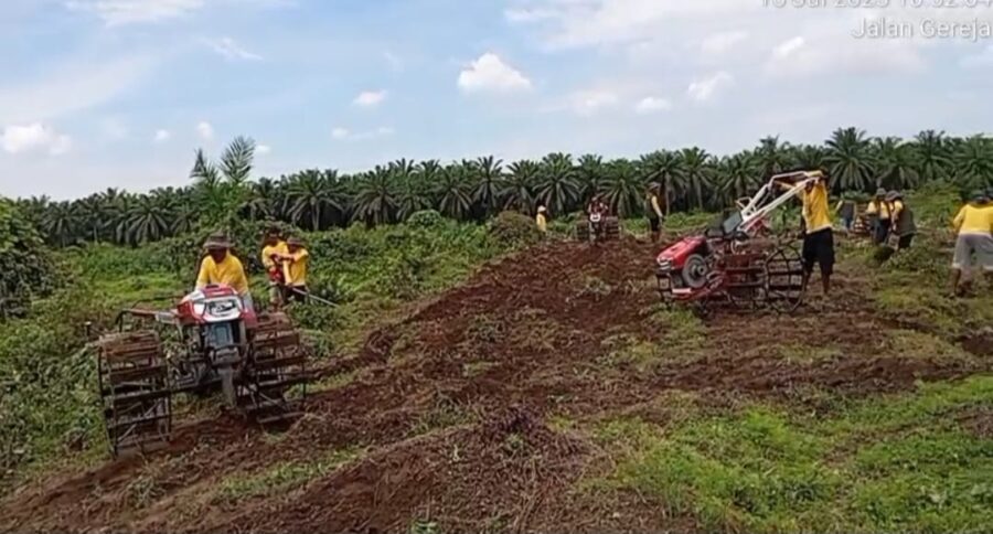 Brigade Pangan Dosroha Rusak Lahan HGU PTPN 1