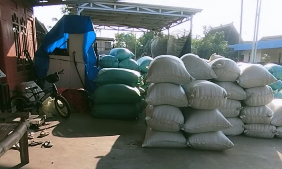 Mengabaikan Instruksi Mentan, Petani Sergai Mengeluh Harga Gabah Dibawa Rata-rata