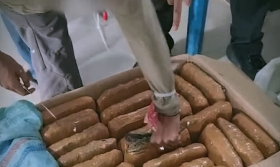 Bongkar Paket Ganja di UIN Suska, Ini Pelakunya