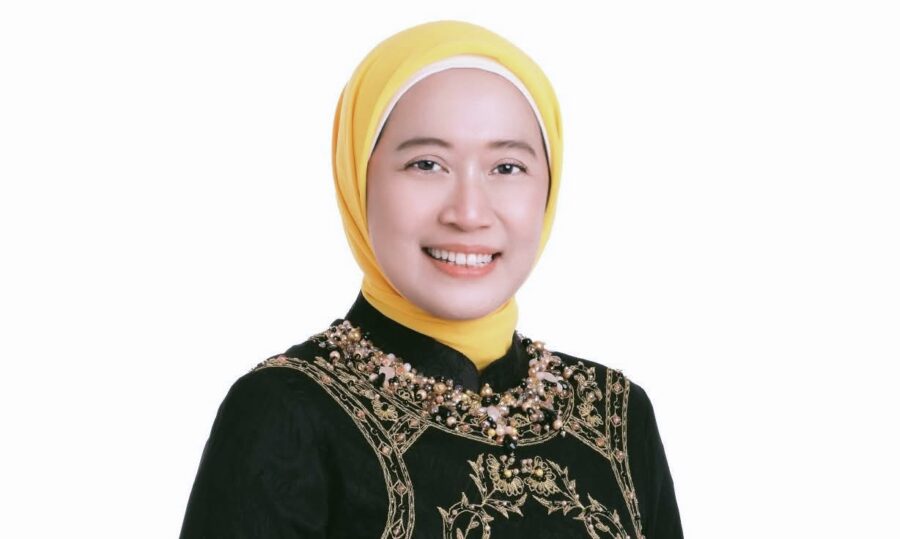 Dewi Yustisiana Dorong Pemerintah Manfaatkan Peluang Kerja Sama Energi dengan Brazil