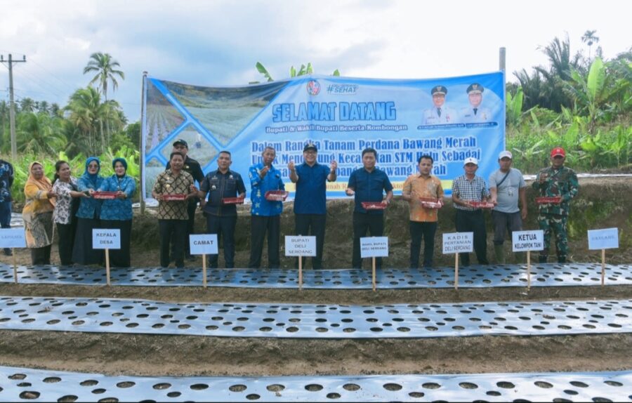 STM Hulu Diproyeksikan Sebagai Sentra Bawang Merah