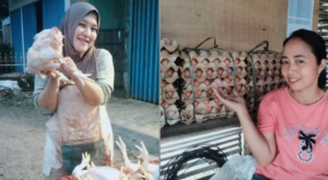 Ayam dan Telur Asal Indonesia Dilarang Masuk Arab Saudi, Ini Sebabnya