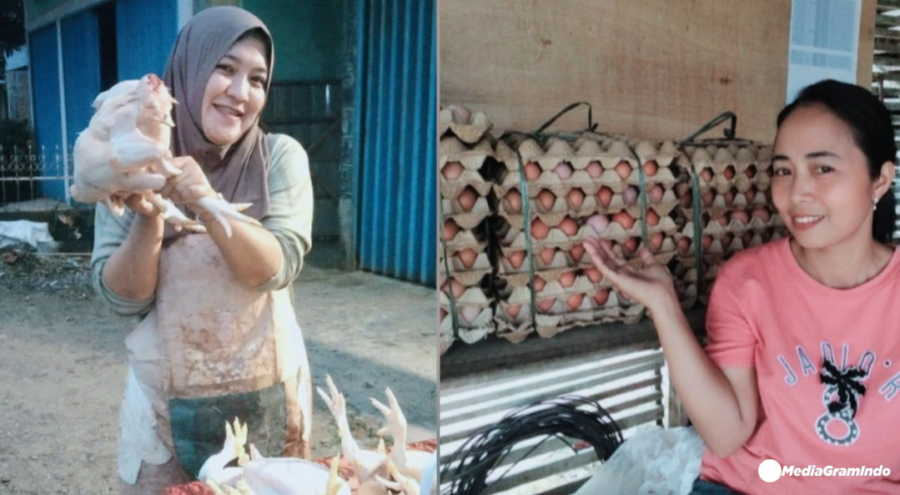 Ayam dan Telur Asal Indonesia Dilarang Masuk Arab Saudi, Ini Sebabnya