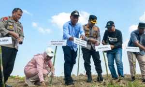 Sinergitas Polres Pelabuhan Belawan & Pemkab Deli Serdang Dukung Ketahanan Pangan
