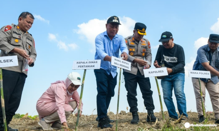 Sinergitas Polres Pelabuhan Belawan & Pemkab Deli Serdang Dukung Ketahanan Pangan