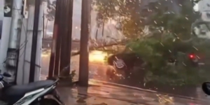 Angin Kencang Disertai Hujan Melanda Semarang, Pohon Tumbang Menimpa Mobil Yang Malintas