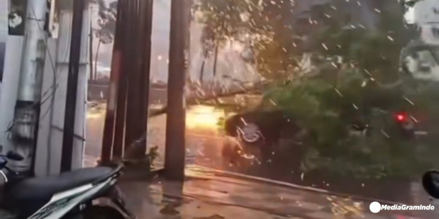 Angin Kencang Disertai Hujan Melanda Semarang, Pohon Tumbang Menimpa Mobil Yang Malintas