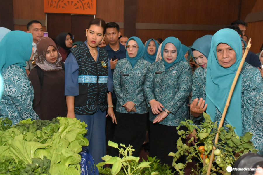 Penguatan Ekonomi Keluarga dan Inovasi Desa di Deli Serdang