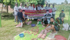 PAC Gerindra Hamparan Perak Sembelih 1 Sapi Kurban, 75 Warga Deli Serdang Terima Daging