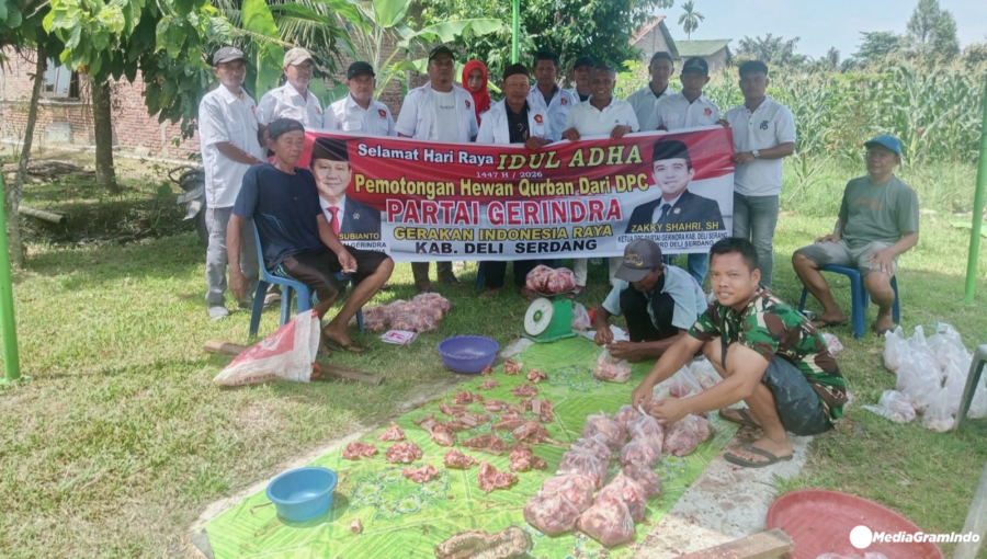 PAC Gerindra Hamparan Perak Sembelih 1 Sapi Kurban, 75 Warga Deli Serdang Terima Daging