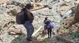 Viral Video Ibu-ibu Panjat Tebing 15 Meter di Jalan Lokop Pining Gayo Lues Putus Akibat Longsor