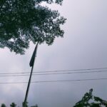 Kualitas Udara di Kota Medan Memburuk, Ini 4 Buah Wajib Konsumsi Saat Kabut Asap