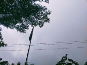 Kualitas Udara di Kota Medan Memburuk, Ini 4 Buah Wajib Konsumsi Saat Kabut Asap