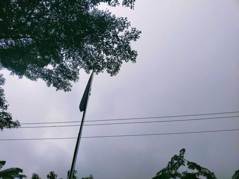 Kualitas Udara di Kota Medan Memburuk, Ini 4 Buah Wajib Konsumsi Saat Kabut Asap