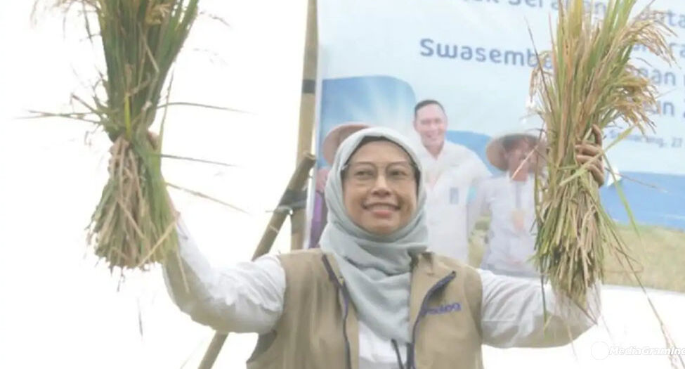 KPK Panggil Kepala Bulog Jateng dan Puluhan Saksi Terkait Kasus Korupsi Bansos Beras PKH, Kerugian Negara Rp 200 Miliar