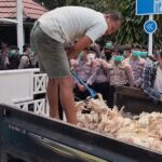 Massa Lemparkan Bangkai Ayam ke Kantor PLN Palangka Raya, Imbas Pemadaman Listrik Bergilir