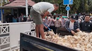 Massa Lemparkan Bangkai Ayam ke Kantor PLN Palangka Raya, Imbas Pemadaman Listrik Bergilir