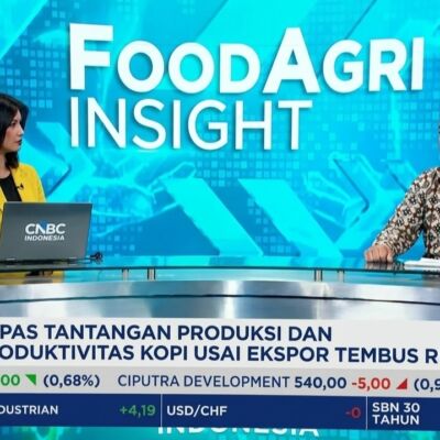 Indonesia Ring Of Fire Kopi Dunia, Ekspor Robusta 64% Tapi Produktivitas Petani Anjlok
