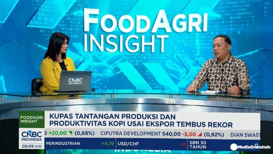 Indonesia Ring Of Fire Kopi Dunia, Ekspor Robusta 64% Tapi Produktivitas Petani Anjlok